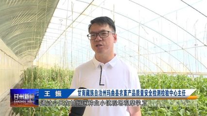 全省農(nóng)業(yè)社會(huì)化服務(wù)現(xiàn)場推進(jìn)會(huì)與會(huì)人員在我區(qū)觀摩